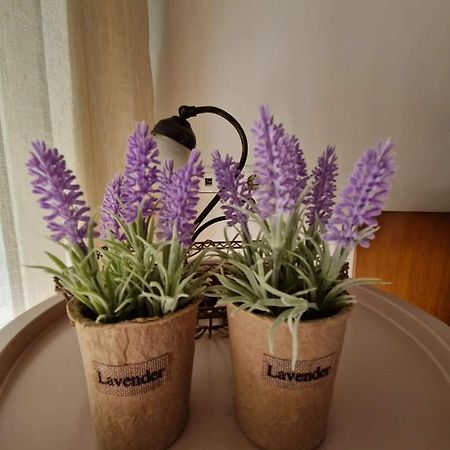 Villa Levanda PalaiónTsiflíkion Esterno foto