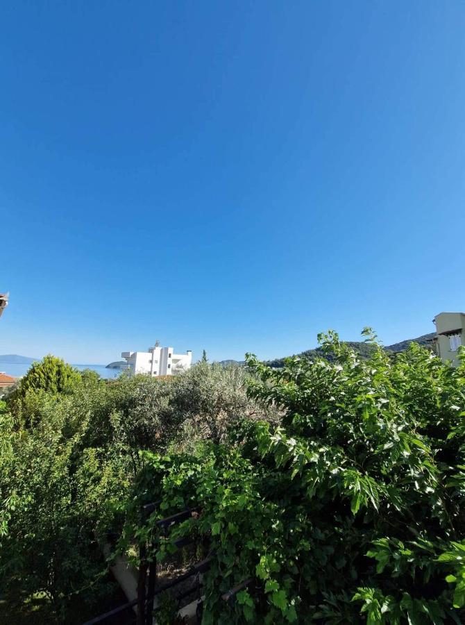 Villa Levanda PalaiónTsiflíkion Esterno foto