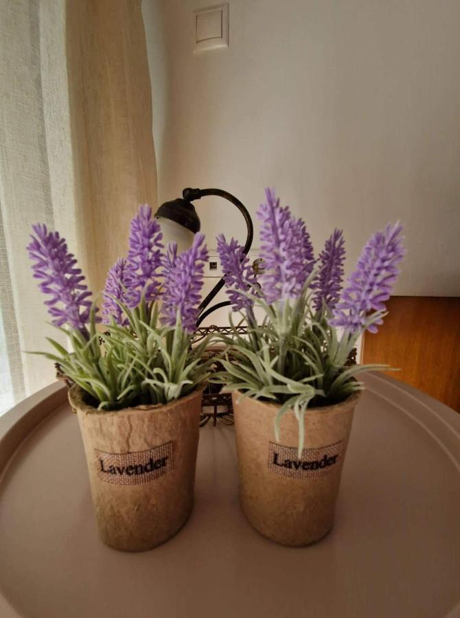 Villa Levanda PalaiónTsiflíkion Esterno foto